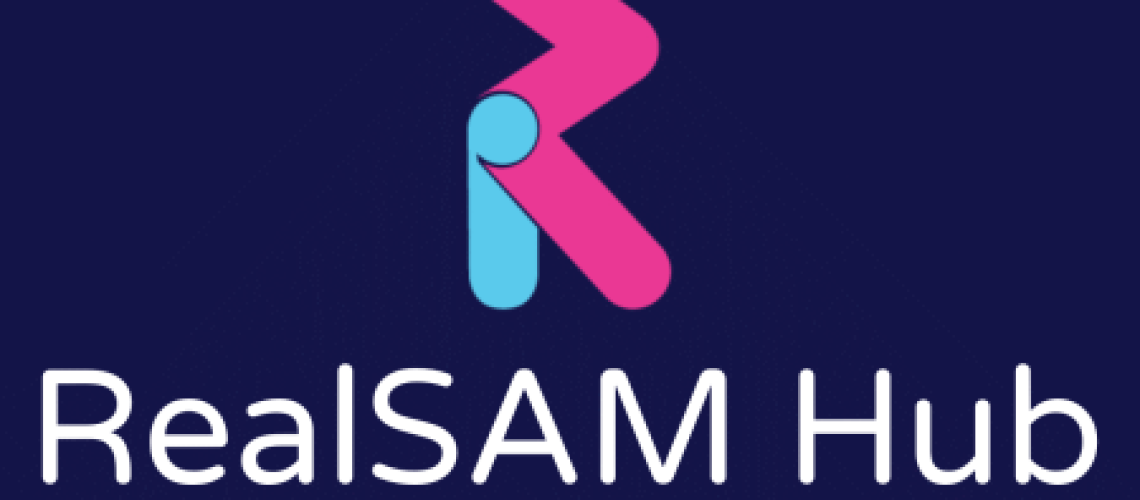 RealSAM Hub by RealThing AI logo